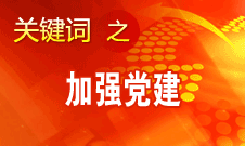 王京清：加强党建必须倍加珍惜、始终坚持、不断发展