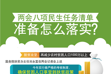 图表：两会八项民生任务清单准备怎么落实？