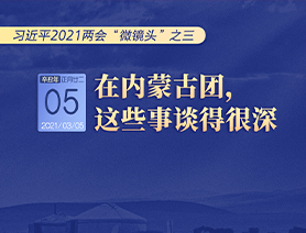 习近平2021两会“微镜头”之三 3月5日 在内蒙古团，这些事谈得很深